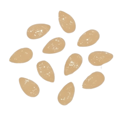 Sesame